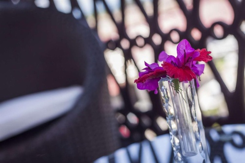 Best Western Plus Zanzibar image 27